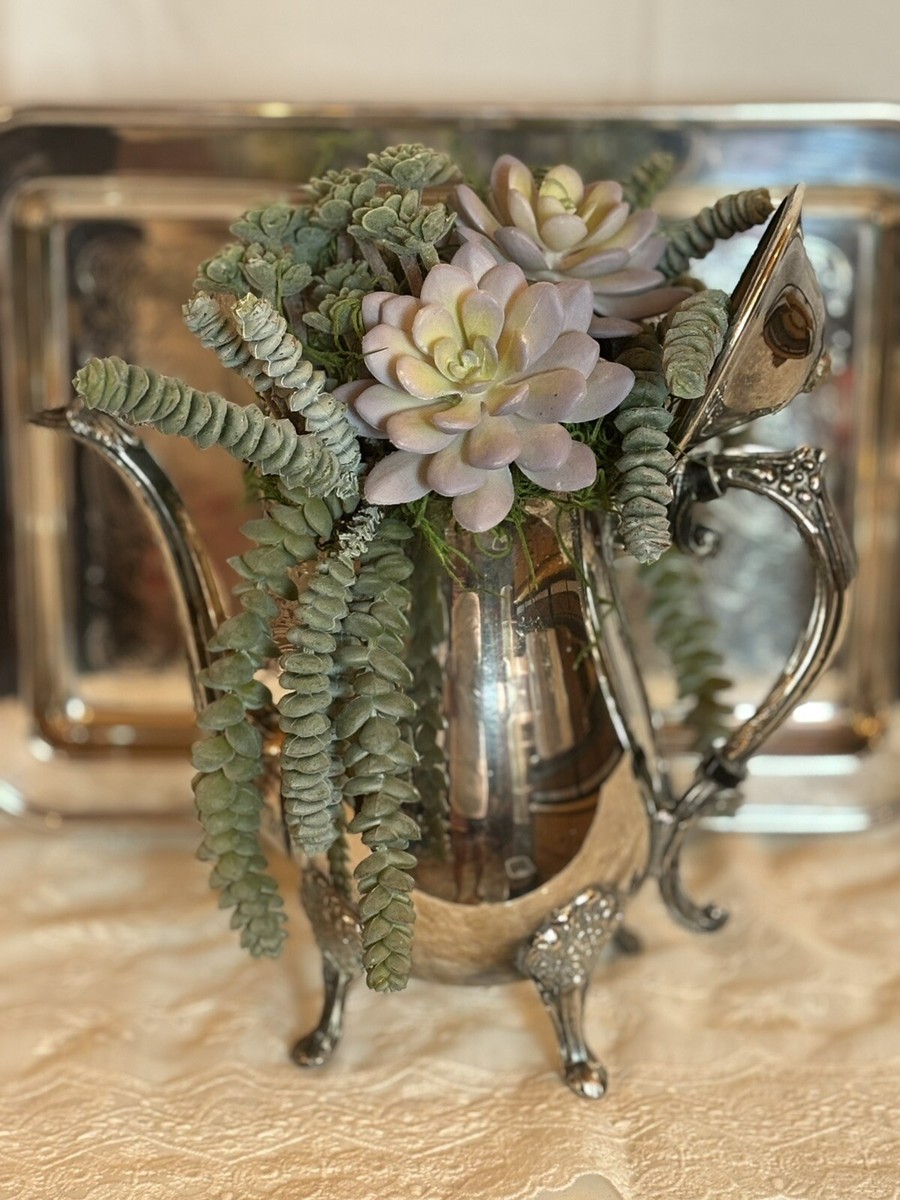 Faux Succulent Arrangement In A Silver Tea Pot With Tray | eBay