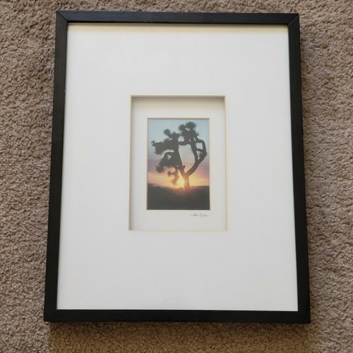 Vintage Joshua Tree Photo by Ellie Tyler Signed Framed Hign Desert 3x5in