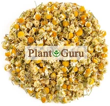 Chamomile Flowers Whole Organic Matricaria Chamomilla Loose Leaf Tea Bulk