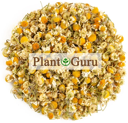 Chamomile Flowers Whole Organic Matricaria Chamomilla Loose Leaf Tea Bulk