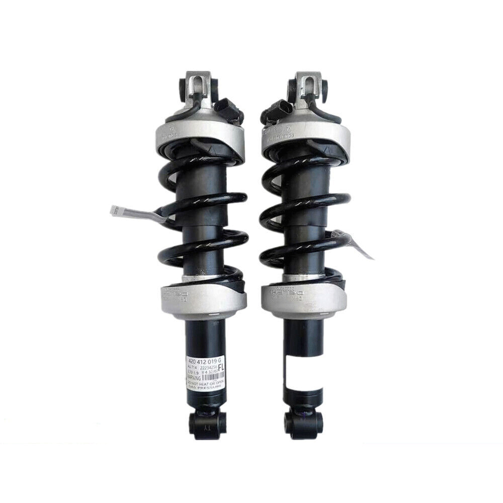 2x Front Shocks Absorbers Struts Magnetic Ride For Audi R8 V8 4.2 FSI 2007-2015