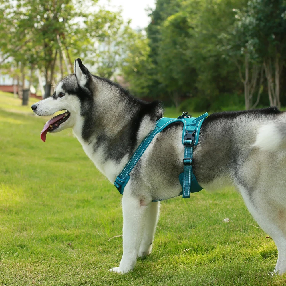 Dog Harness Dual Leash Attachment No-Pull Control Adjustable Soft but Strong ...