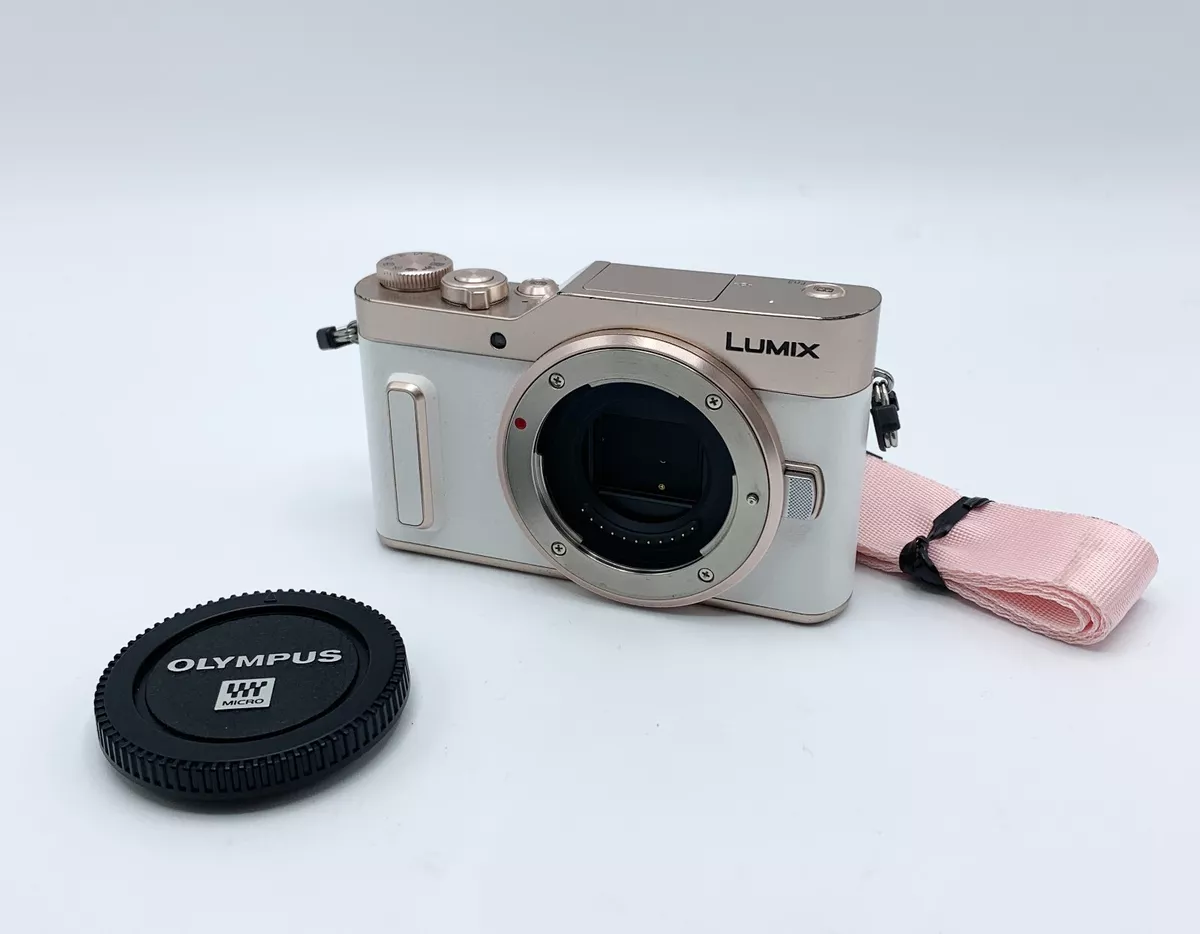 Panasonic mirrorless single-lens Lumix GF10 double lens kit DC-GF10W-W  Japanese