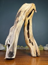 16 Manzanita Driftwood Branch, Aquarium Terrarium Aquascaping Decor, Home Decor