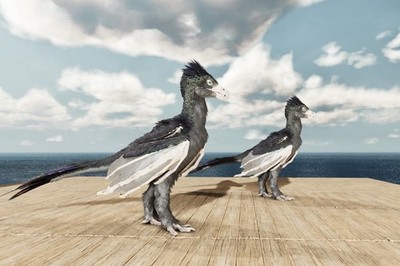 Ark Survival Ascended  - Solid Black Yi Ling Pair Lvl 129  PC/PS5/XBOX  PVE
