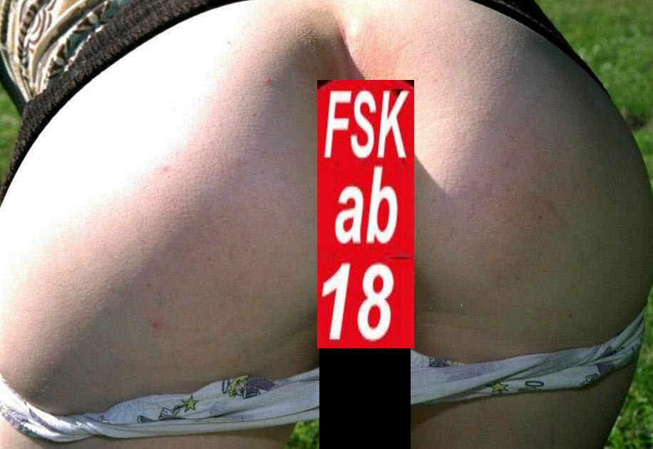 Bild 4 von 7