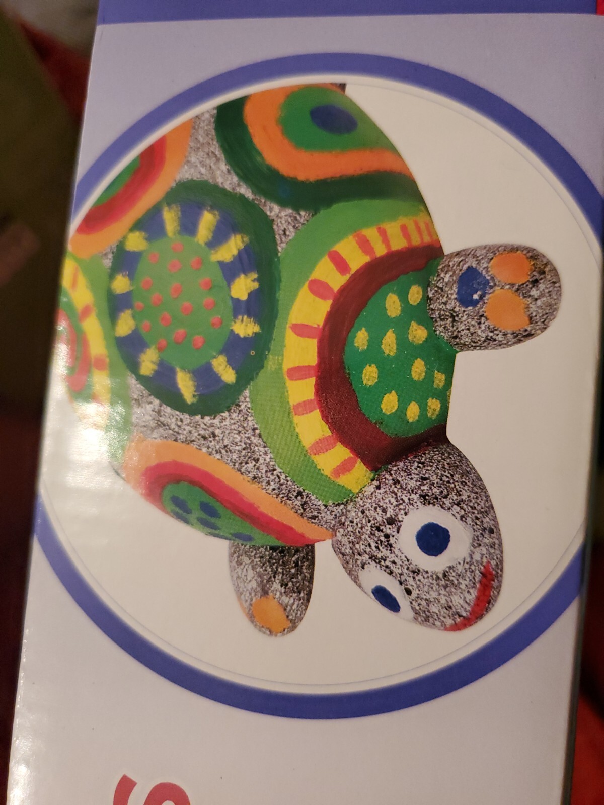 ALEX Toys Craft Pet  Rock Turtle 