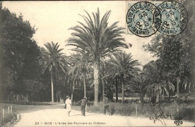 Nice Alpes Maritimes Nice Allee des Palmiers du Chateau