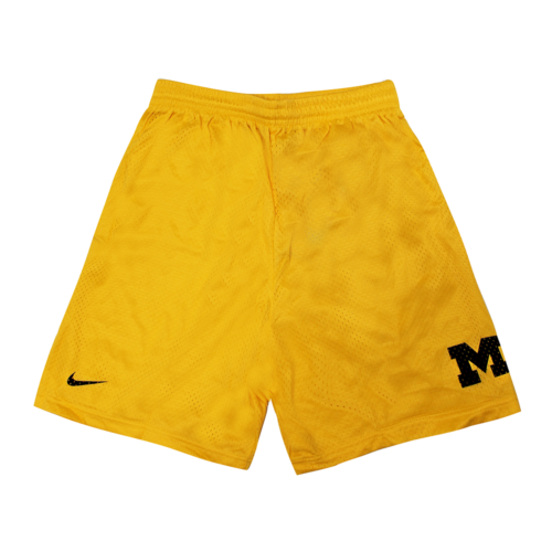 Vintage Nike Mens Michigan Wolverines NCAA Shorts - Photo 1/1