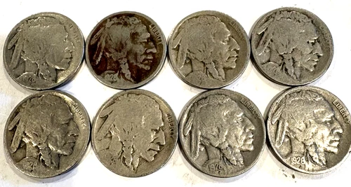 Lot of 8 Indian Head Buffalo Nickel Coins Dated 1928