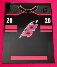 2024-25 SEBASTIÀN AHO First 500 Fans Jersey Carolina Hurricanes J-SA Credentials