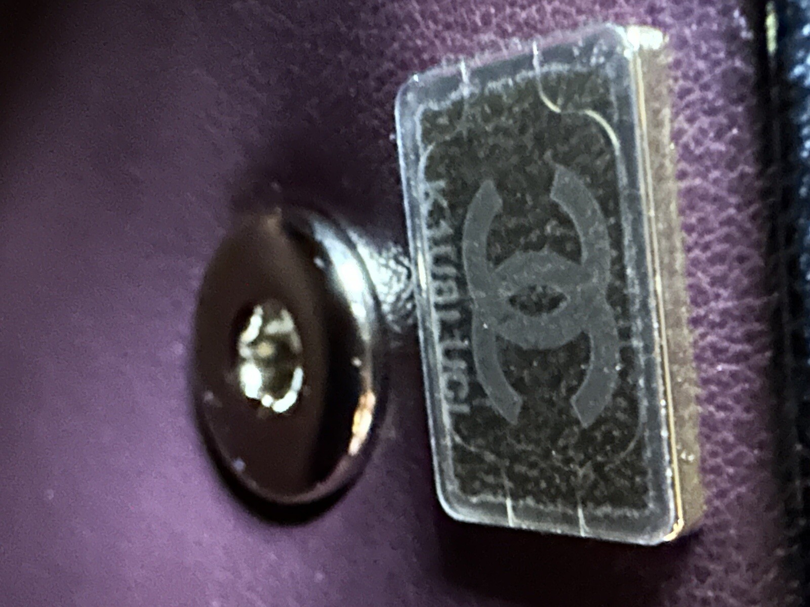 Picture 19 of 19