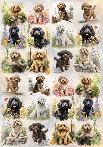 Doodle / Cockapoo Dog Wrapping Paper by Starprint - 1 Sheet + matching gift card - Picture 2 of 4