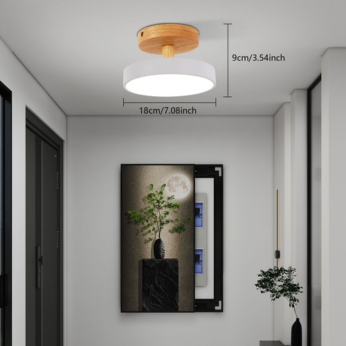 Ceiling Mount Light Fixture, Wide Voltage Ceiling Lamp With Three Light Colors - Picture 10 of 16