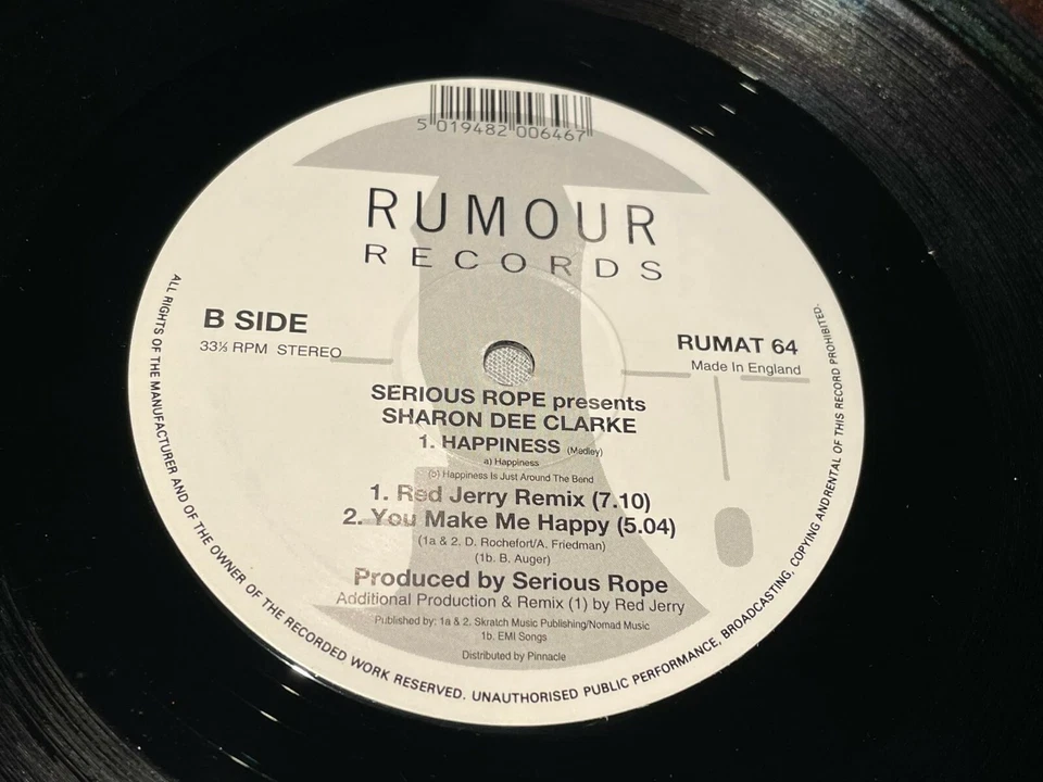 Serious Rope - Happiness - Used Vinyl Record 12 - P1362z, photo 4 of 4