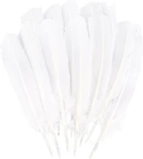 12pcs White Wild Turkey Tails Feathers 10-12inch for DIY Crafts Home Wedding Par
