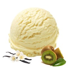 Vanille Kiwi Veganes Eis Pulver Zucker-, laktosefrei 1 kg