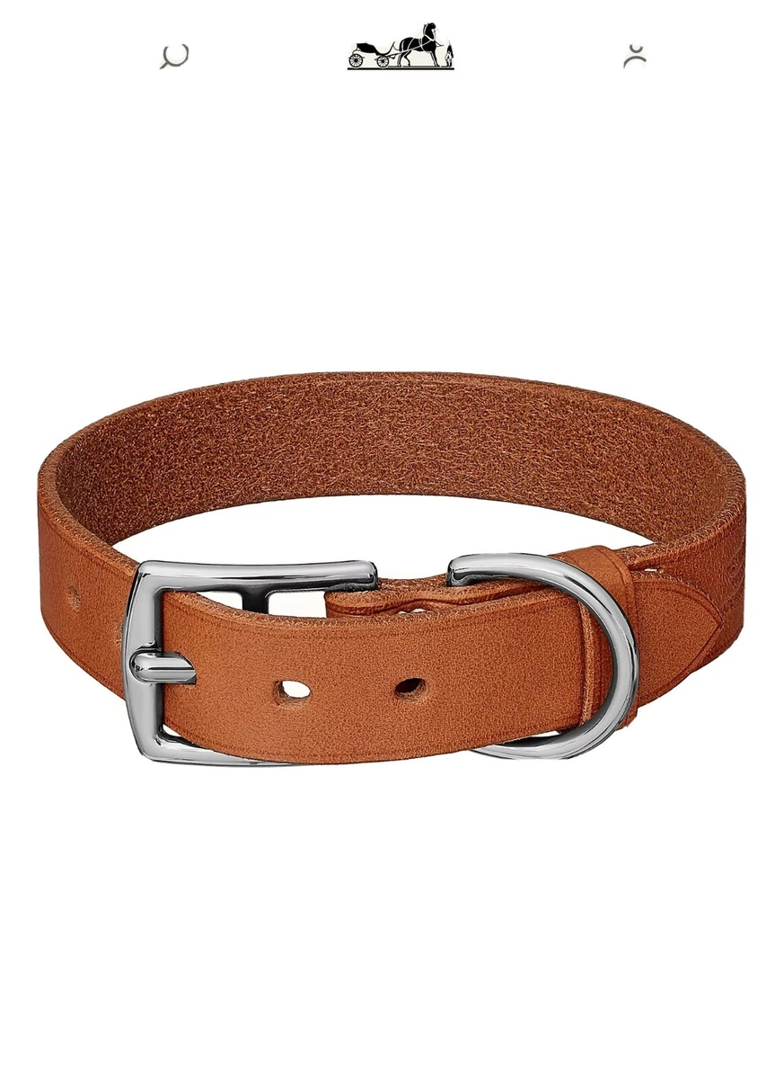 hermes dog collar