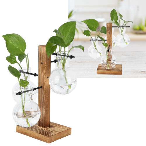 Innovative Hydroponic Vase With Wooden Stand Transparent Desktop Flower Vase HU - Afbeelding 1 van 22