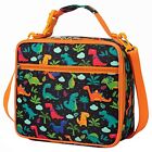 Lunch Boxinsulated Lunch Bag Reusable Lunch Tote For Girls & Boys & Women Work P