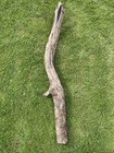 Treibholz, 155 cm Schwemmholz, Driftwood, Skulptur, Basteln, Dekoration
