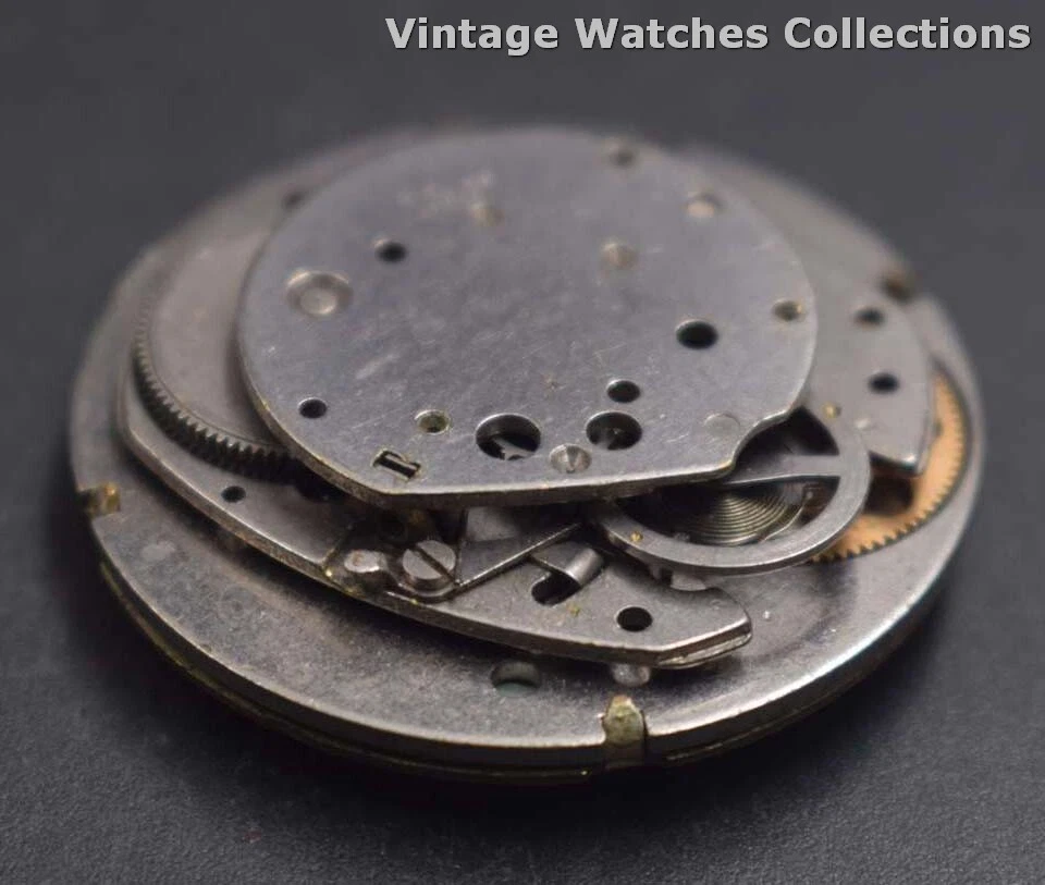 Timex hotsell watch movement
