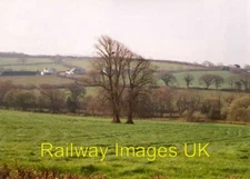 Photo - Trees in a field Tremeere Manor Lanivet c2002