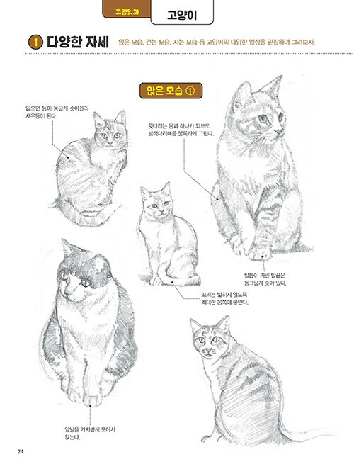 Drawing Moving Animals -Basics and secrets of artist 움직임이 살아있는 동물 그리기 | eBay Drawing Moving Animals -Basics And Secrets Of Artist 움직임이 살아있는 동물 그리기 | Ebay