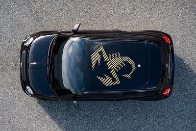 Abarth 500 695 Scorpioneoro Roof Stickers, Original And New