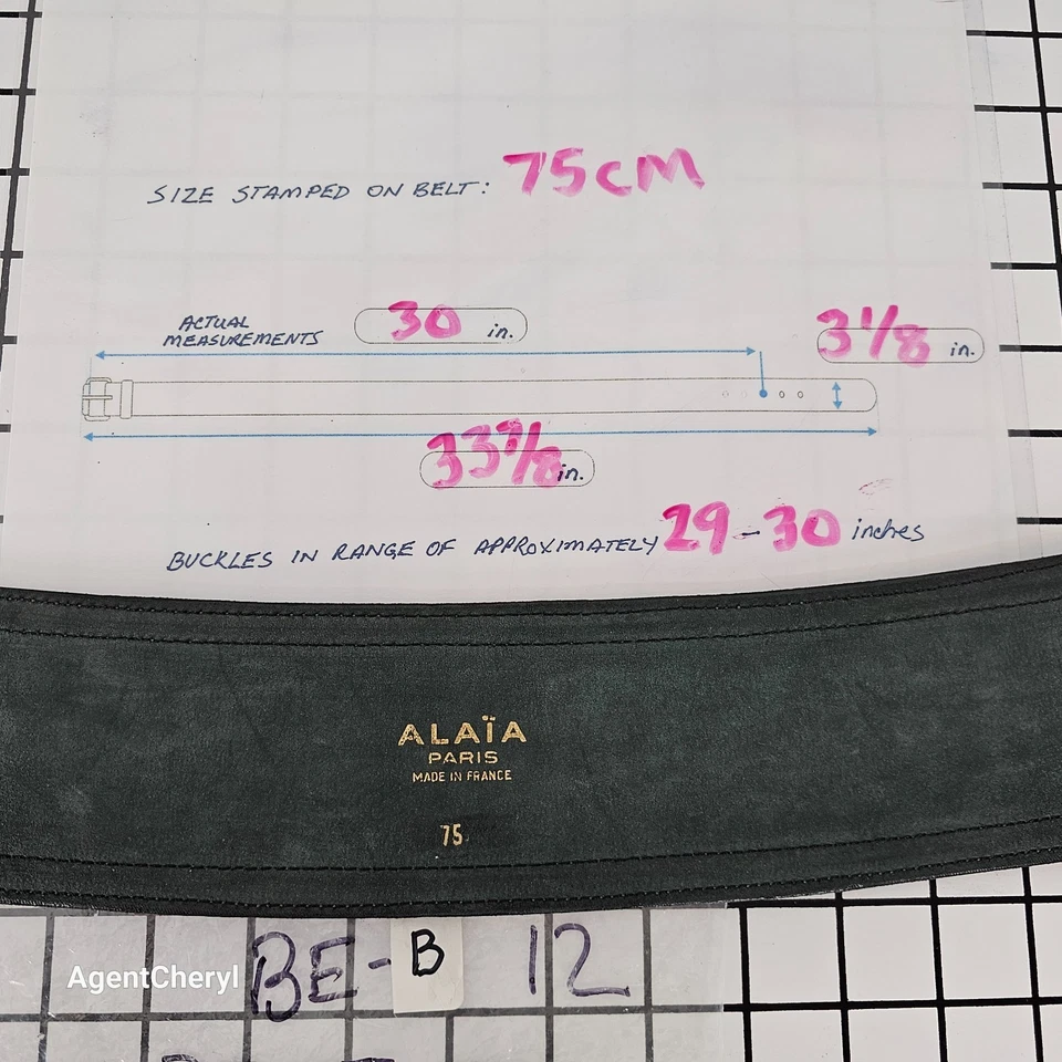 ALAIA Paris Talla 75 cm 30” Cuero Gris Oscuro 3” Ancho Corsé Distintivo Cinturón Cincha Foto 2 de 4