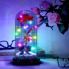 Light Up Flower Rose in Glass Dome Mother Mom Gifts Birthday Gift For Women Her