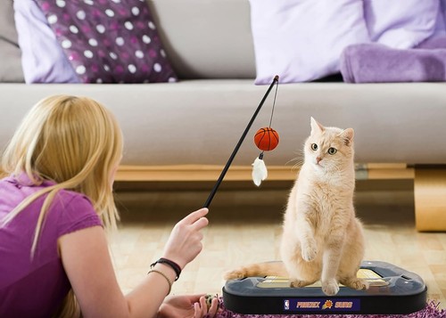 Juguete rascador para gatos de cancha de la NBA Pets First juguete 6 en 1 con bola de peluche juguete hierba gatera - Imagen 124 de 171