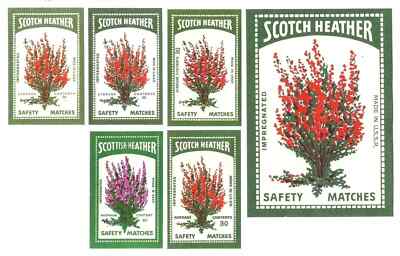 5+1 Soviet Union Latvia LSSR Matchbox Labels m/f Baltija Liepaja Scotch Heather