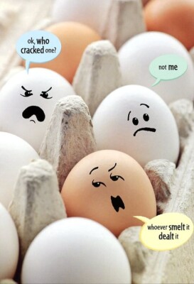 OK, Who Cracked One! - Easter Greeting Card - 23037