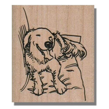 Rubber Stamp, Golden Retriever On Chair, Dog Stamp, Animal,Relax,Pet,Pup,Paw,sm