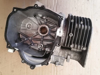 Bloc moteur (ORIGINE) TECUMSEH ENDURO XL/C 13.0 CV - Photo 1/3