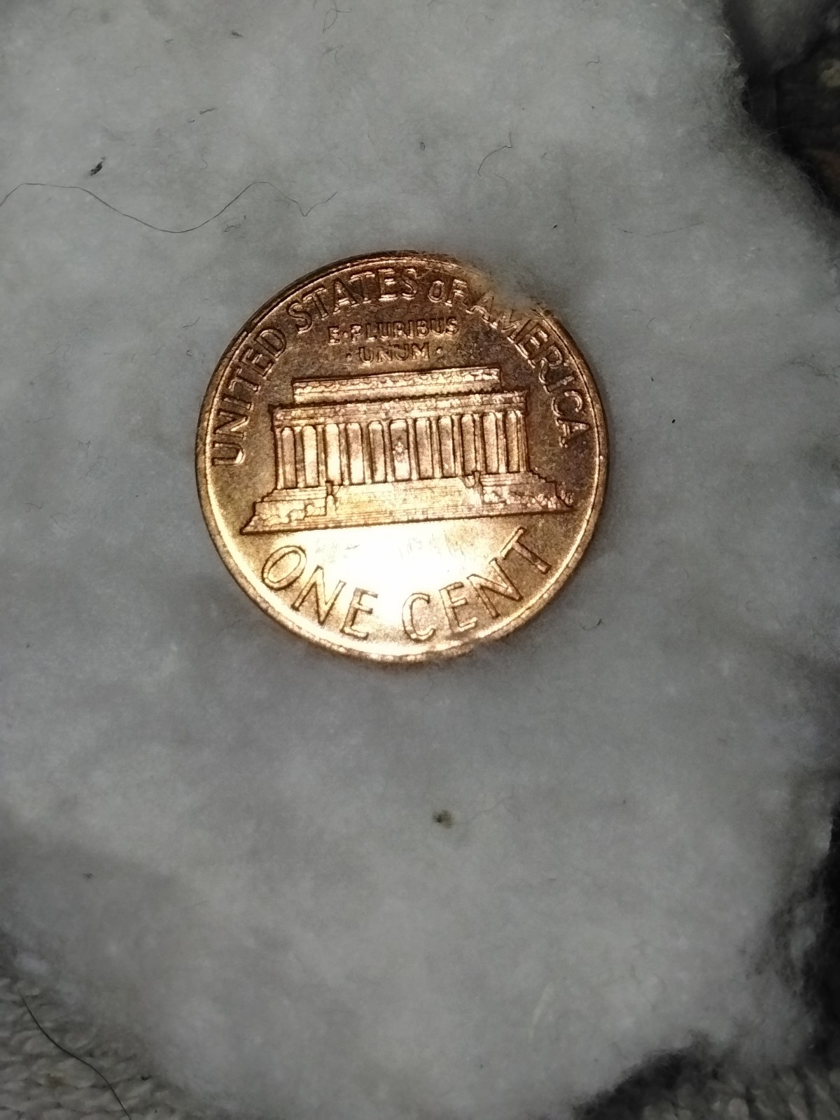 Picture 7 of 19
