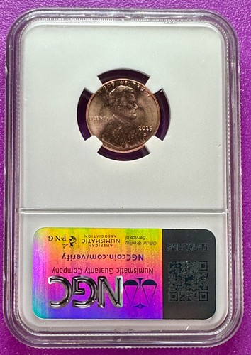 2025 D 1c Lincoln Shield Cent NGC MS65RD - Picture 2 of 2