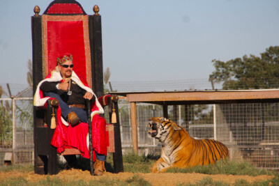 Throne Joe Exotic Tiger King Art Wall Indoor Room Outdoor Poster - POSTER 20x30