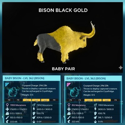 BISON TOP STATUS BABY PAIR ARK ASCENDED PVE OFFICIAL PC/XBOX/PS5