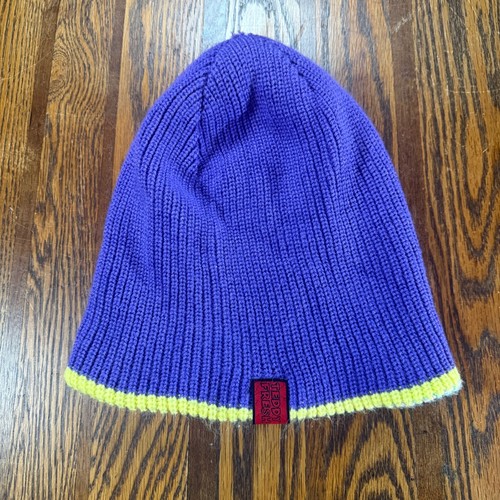 Teddy Fresh Ribbed Knit Beanie Purple Green Trim Red Logo Spellout Hat