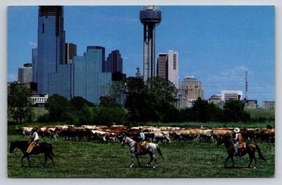 Dallas TX Cattle Drive & Skyline Postcard - GOP Convention 1984 Jose Azel Photo