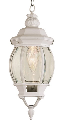 Trans Globe Lighting 4065-WH Parsons Outdoor Pendant or Chandeller White