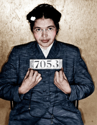 rosa parks costume diy
