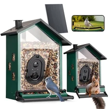  Smart Bird Feeder with Camera Solar Powered Squirrels-Proof, AI Identify Green