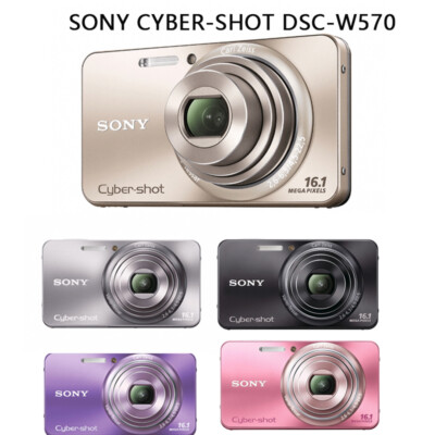 Sony Cyber-shot DSC-W570 16.1MP Digital Camera 5x Zoom with
