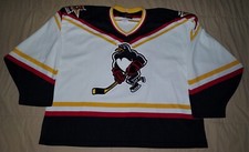 VTG 2001 SCRANTON WILKES BARRE PENGUINS ALL STAR CLASSIC MENS XL HOCKEY JERSEY