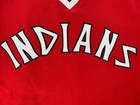 MLB Cleveland Indians 2017 Turn Back the Clock 1977 Home jersey game worn