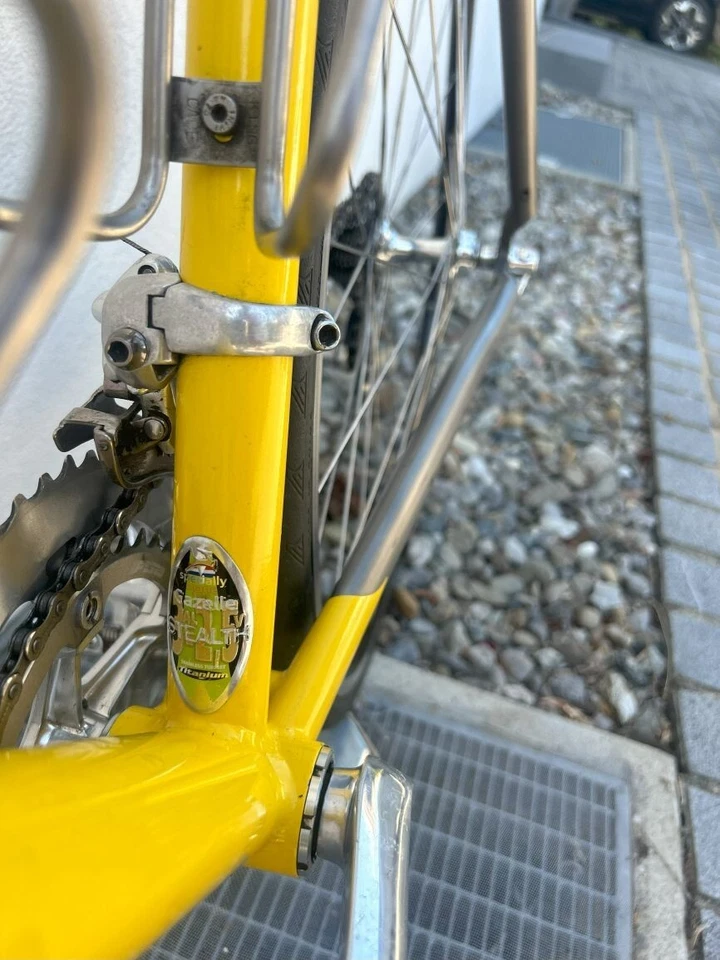 Rennrad Gazelle, Titan-Jubiläumsrahmen, absolute Rarität, RH 56, Dura Ace - Bild 4 von 4