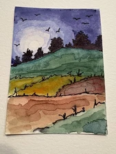 aceo original art cards 2.5"x3.5" new watercolor and ink painting 
